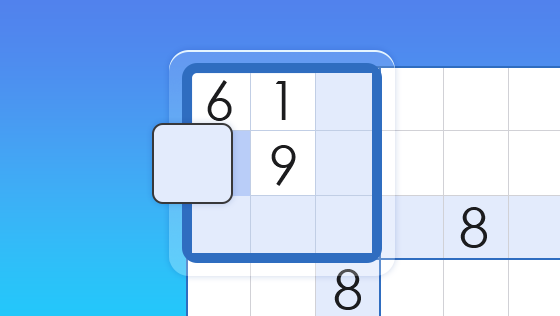 sudoku entry